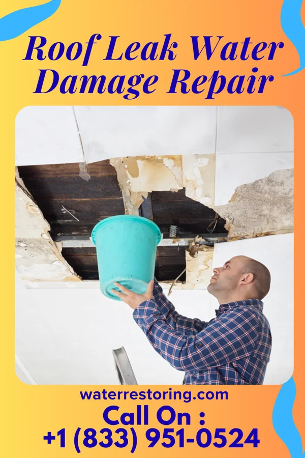 Roof Leak Water Damage Repair in Cashmere, WA